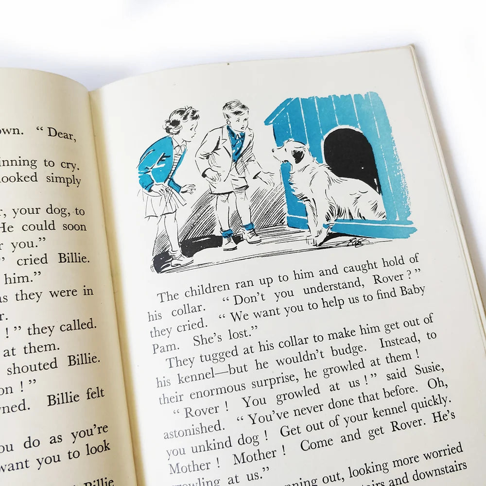 Enid Blyton - The Astonishing Ladder - FIRST EDITION